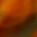 Bokeh-325